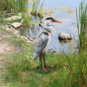 Image Thumbnail for GRAY HERON COASTAL BIRD STATUE